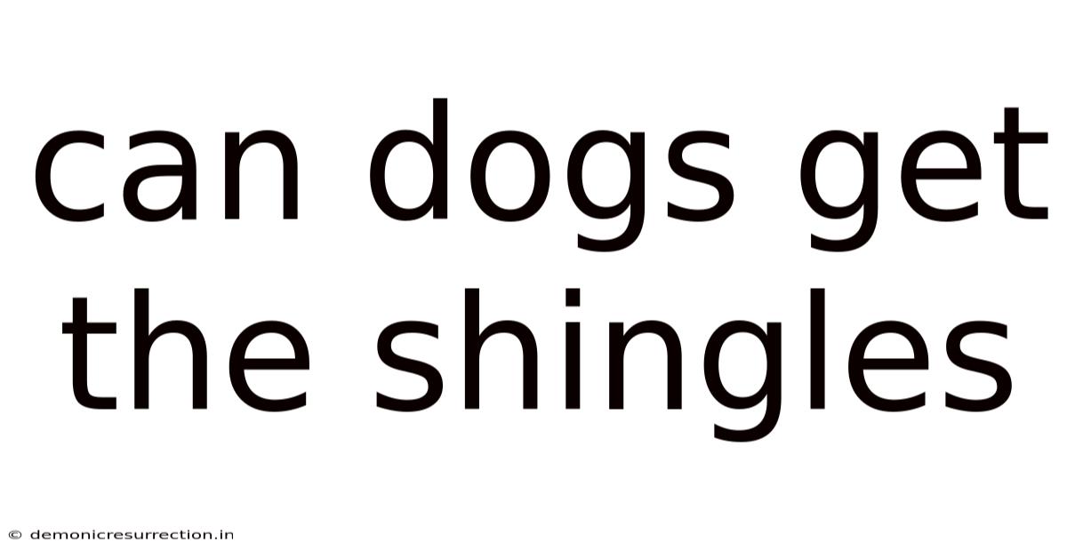 Can Dogs Get The Shingles
