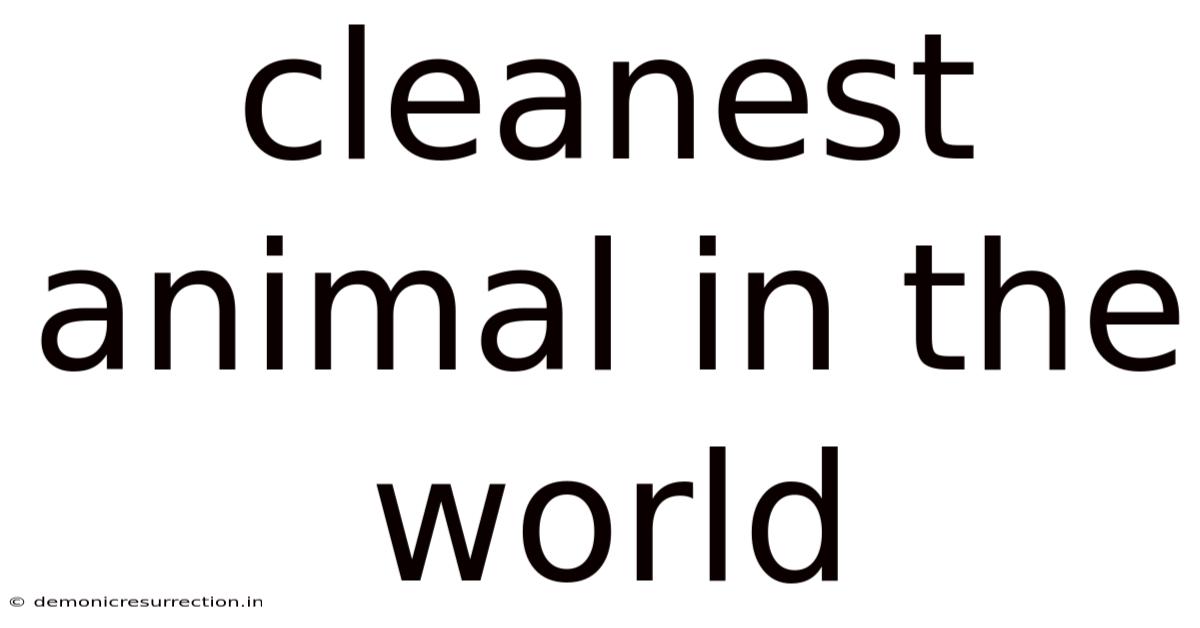 Cleanest Animal In The World