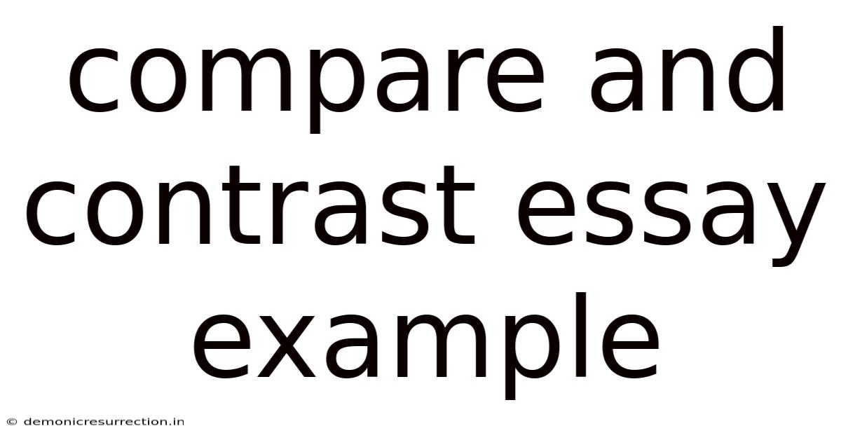 Compare And Contrast Essay Example