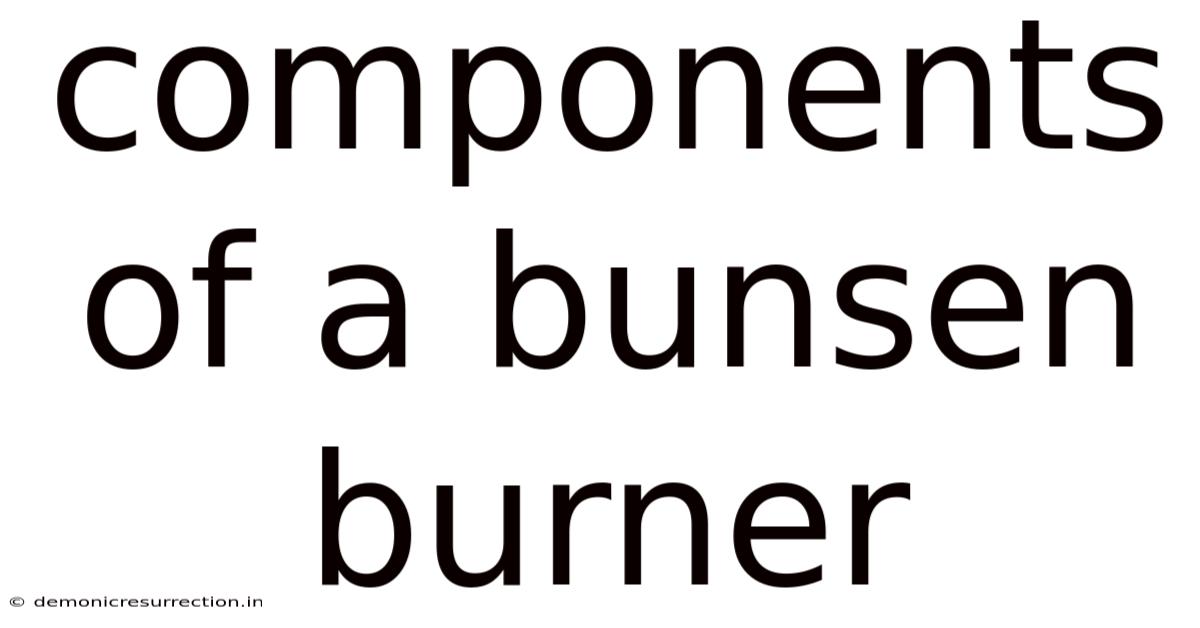 Components Of A Bunsen Burner