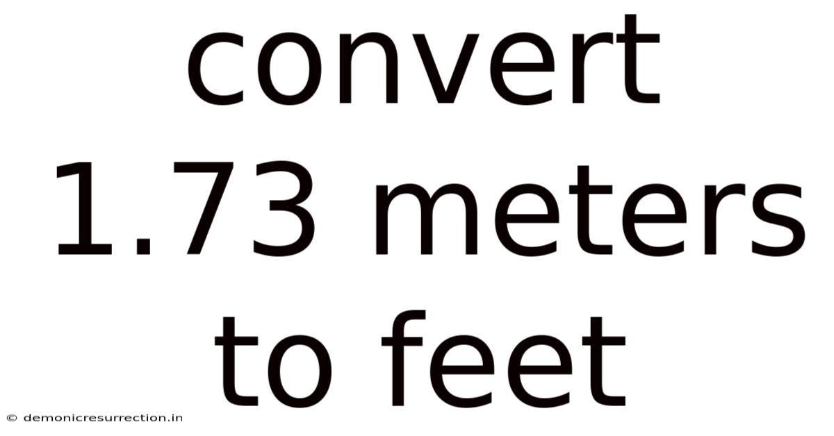 Convert 1.73 Meters To Feet