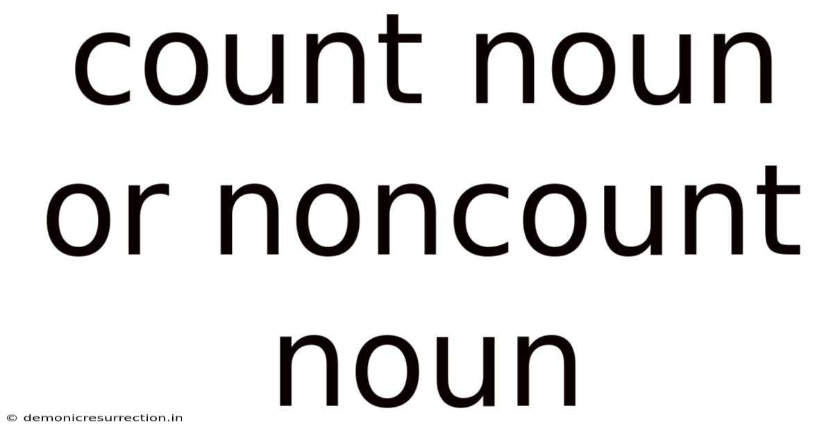 Count Noun Or Noncount Noun