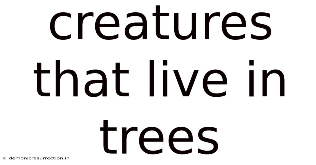 Creatures That Live In Trees