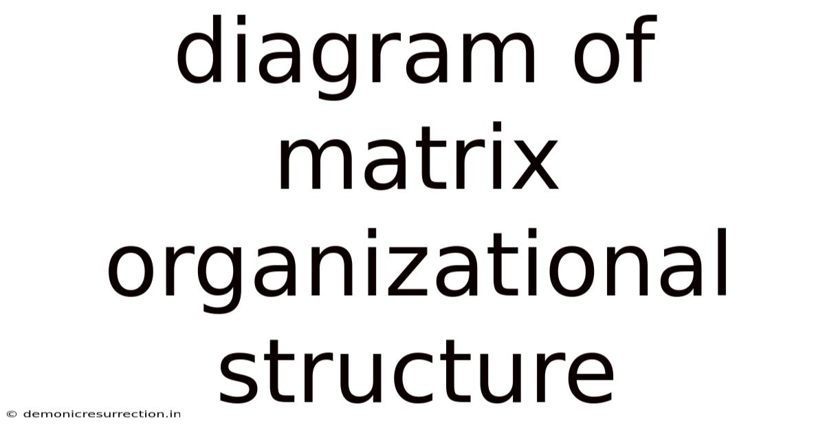 Diagram Of Matrix Organizational Structure