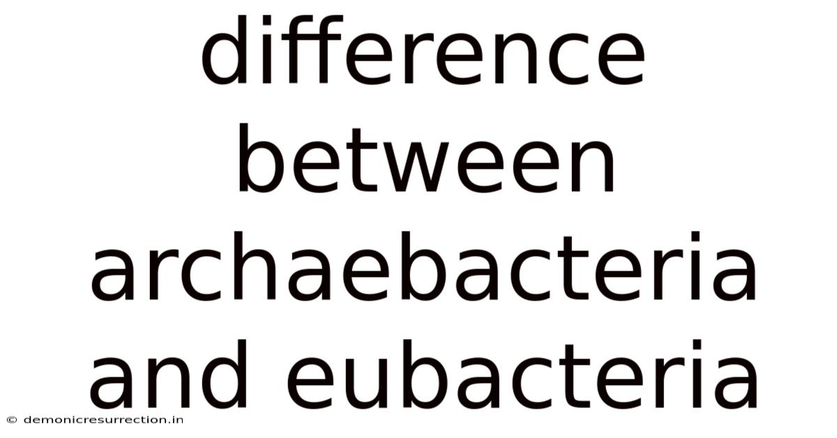 Difference Between Archaebacteria And Eubacteria