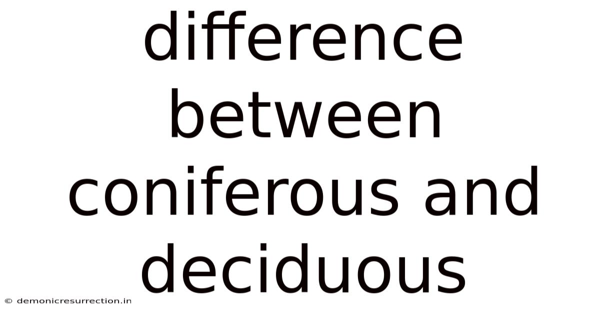 Difference Between Coniferous And Deciduous