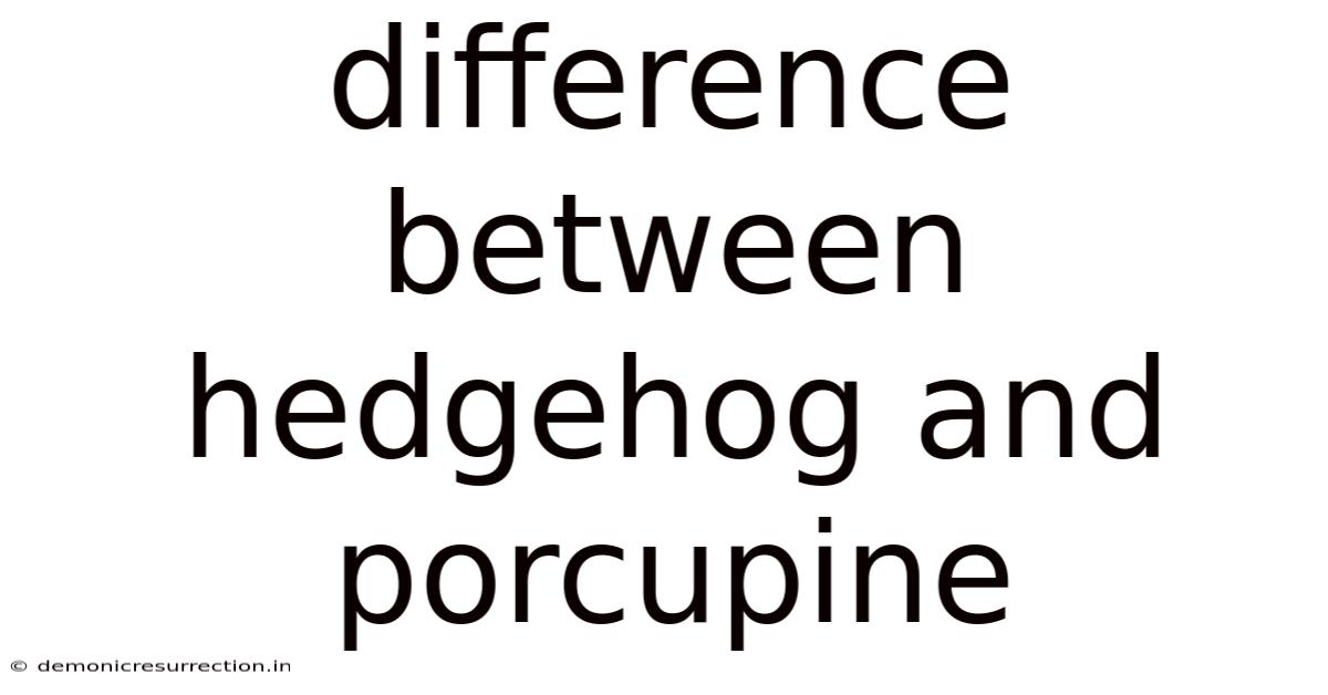 Difference Between Hedgehog And Porcupine