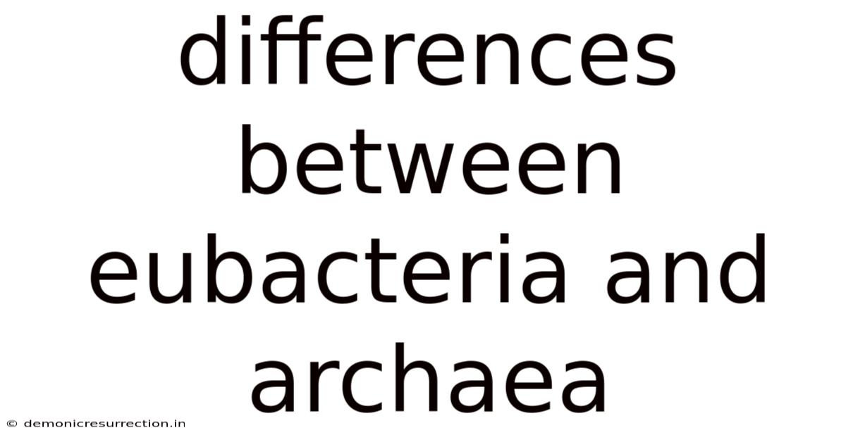 Differences Between Eubacteria And Archaea