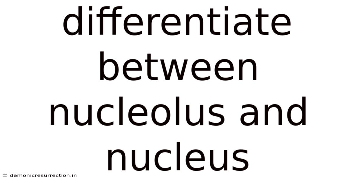 Differentiate Between Nucleolus And Nucleus