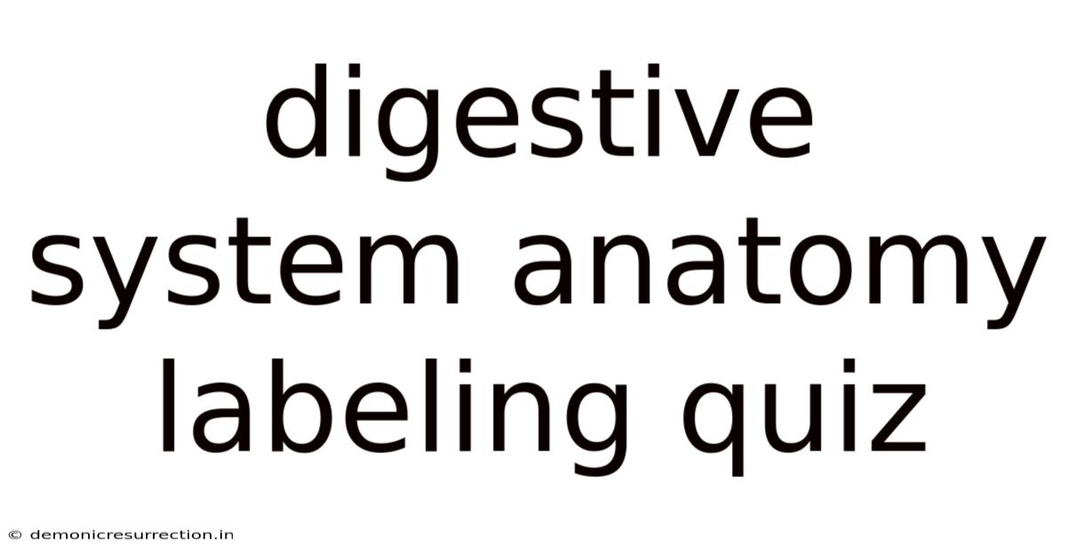 Digestive System Anatomy Labeling Quiz