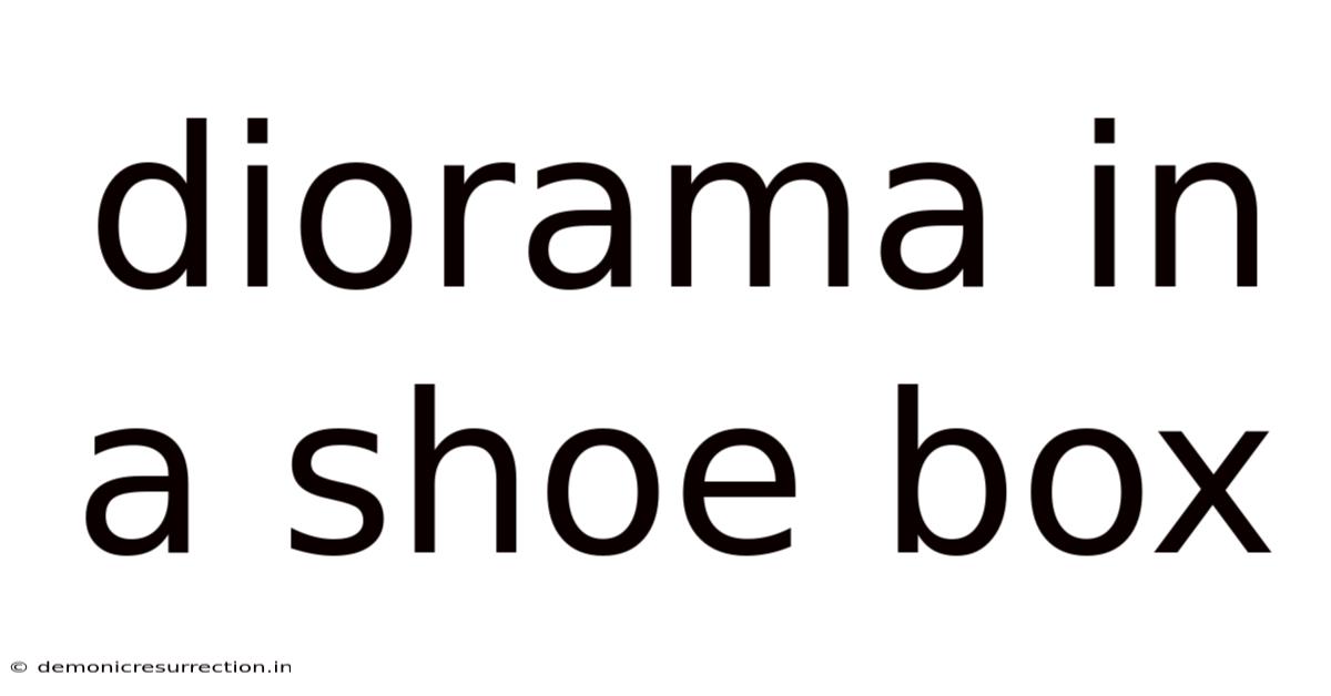 Diorama In A Shoe Box