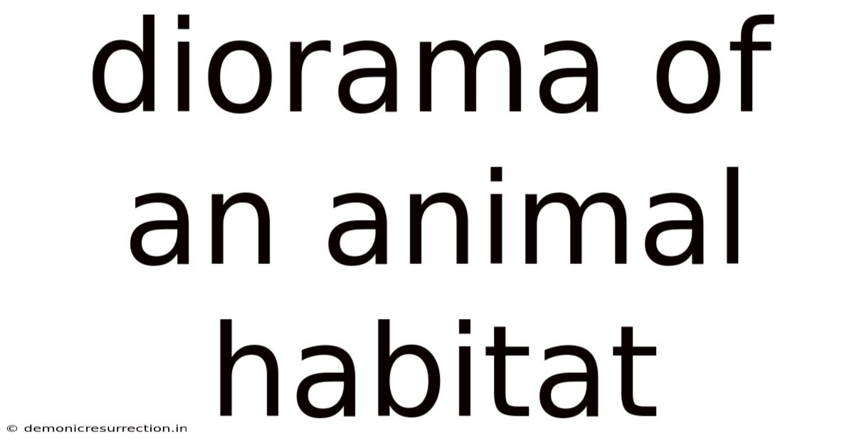 Diorama Of An Animal Habitat