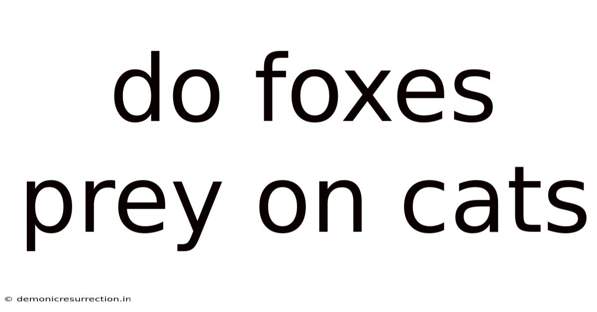 Do Foxes Prey On Cats