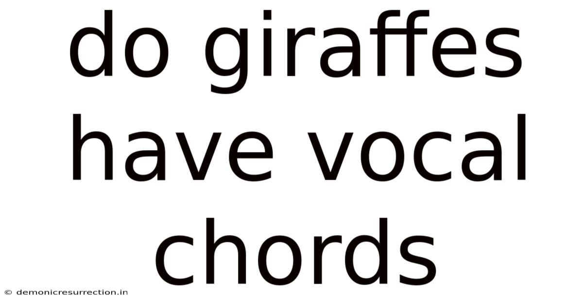Do Giraffes Have Vocal Chords