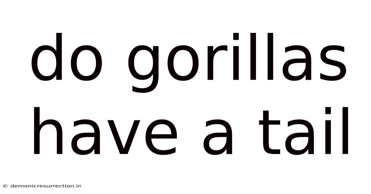 Do Gorillas Have A Tail