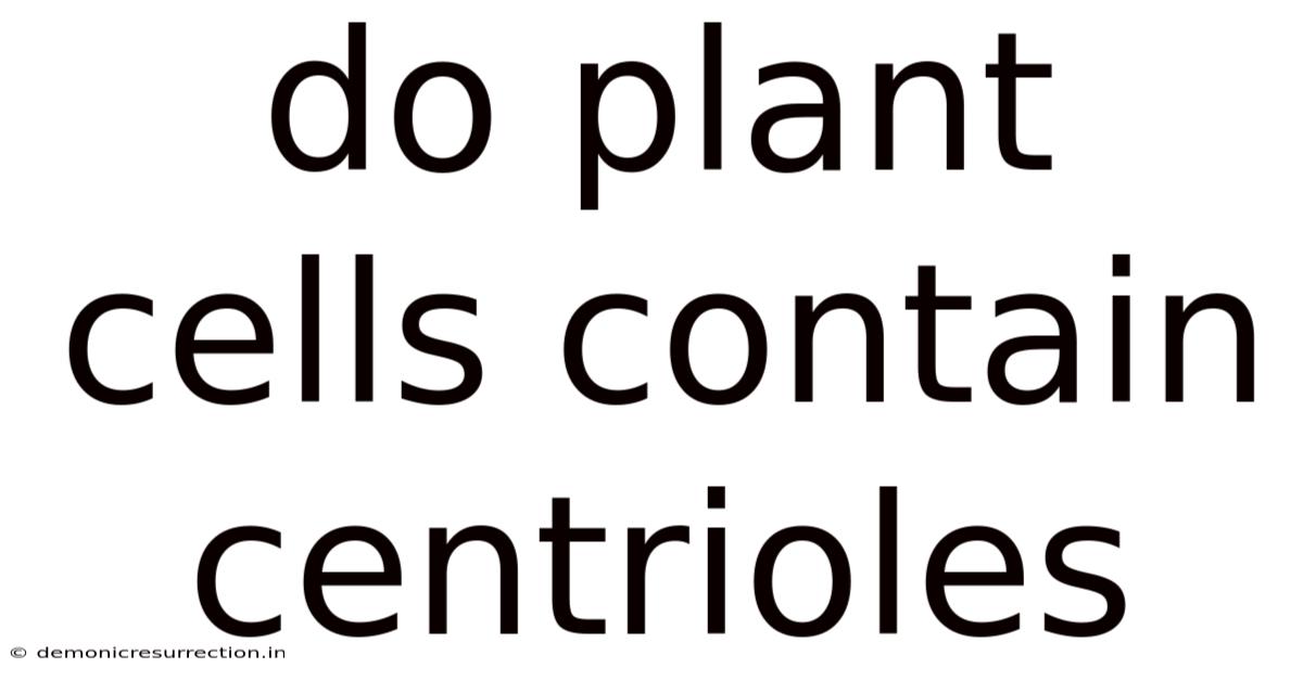 Do Plant Cells Contain Centrioles