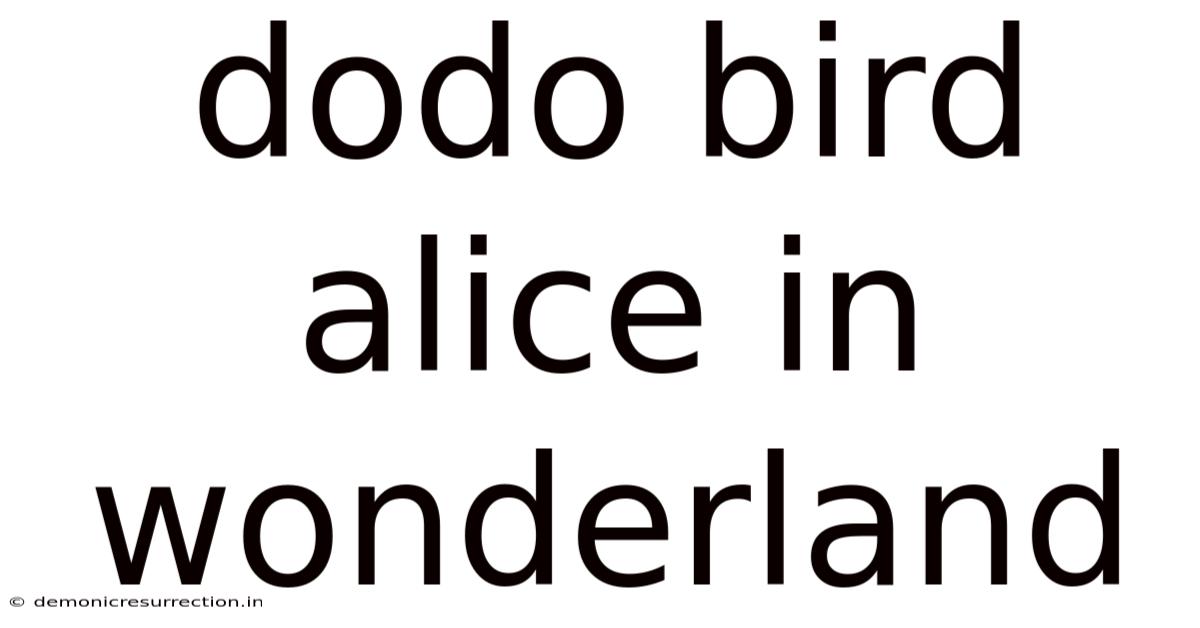 Dodo Bird Alice In Wonderland
