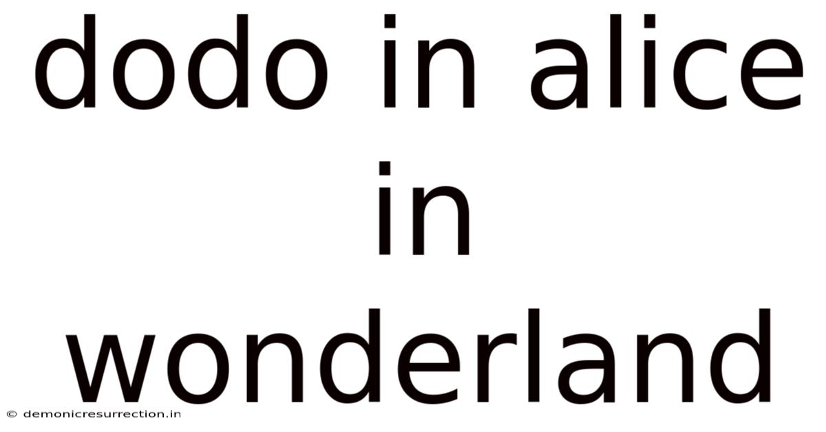Dodo In Alice In Wonderland