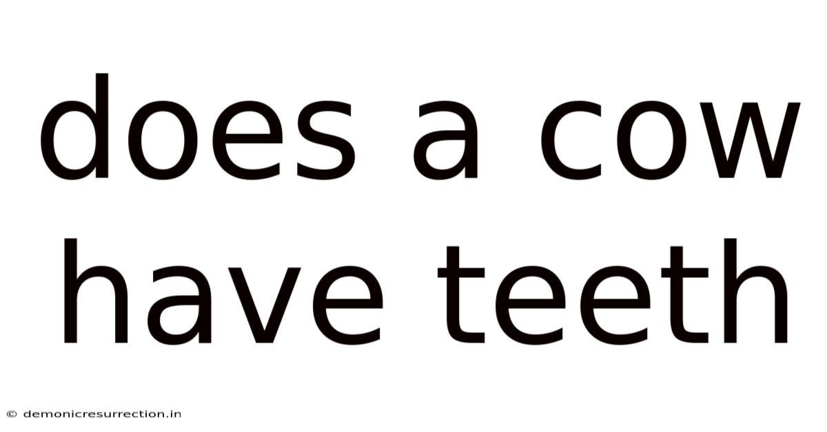 Does A Cow Have Teeth
