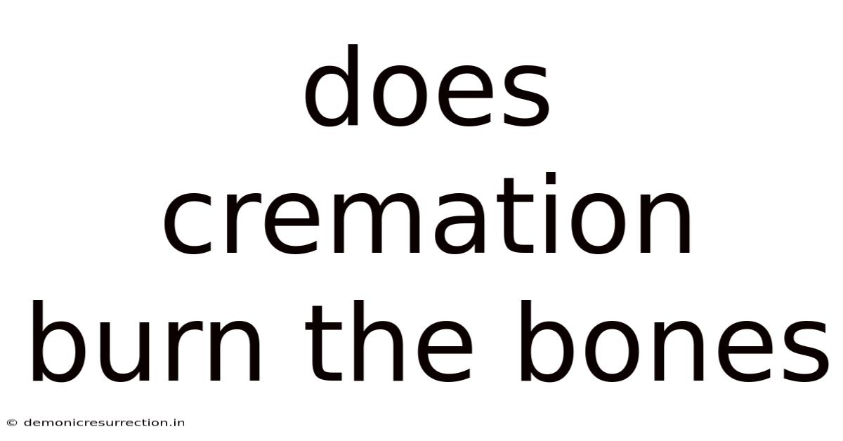 Does Cremation Burn The Bones