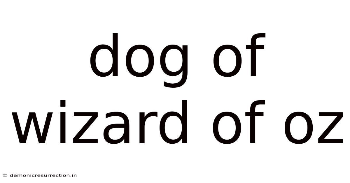 Dog Of Wizard Of Oz