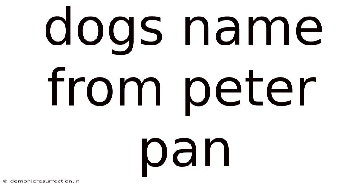 Dogs Name From Peter Pan