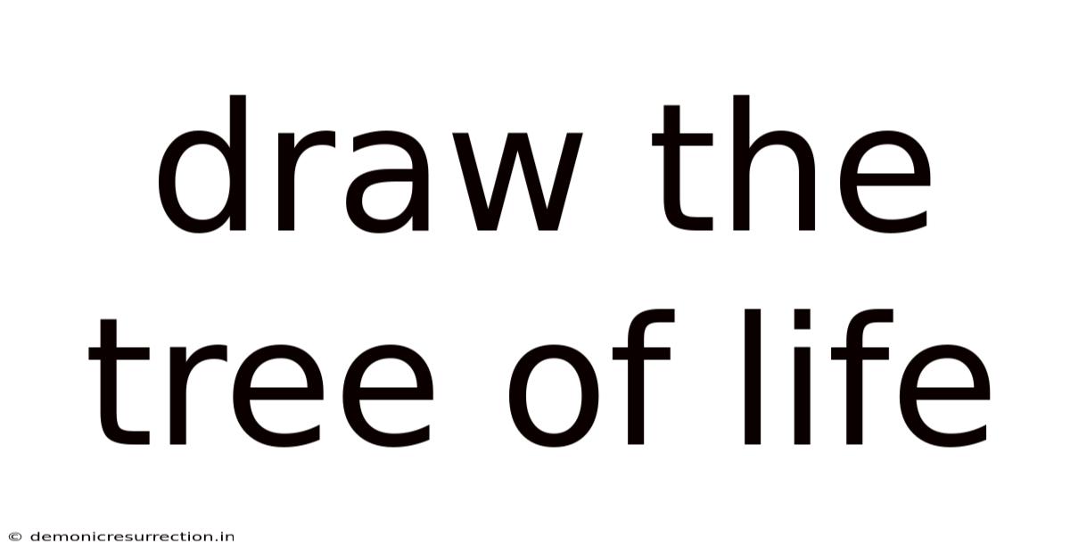 Draw The Tree Of Life