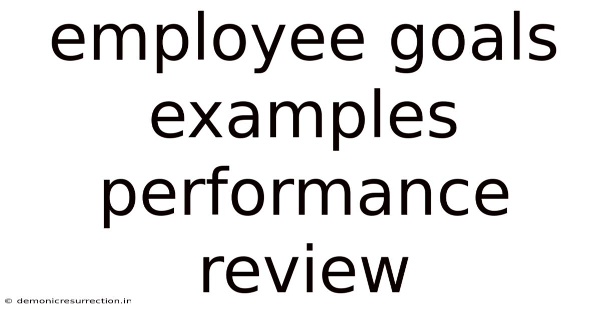 Employee Goals Examples Performance Review