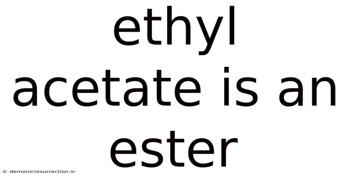 Ethyl Acetate Is An Ester