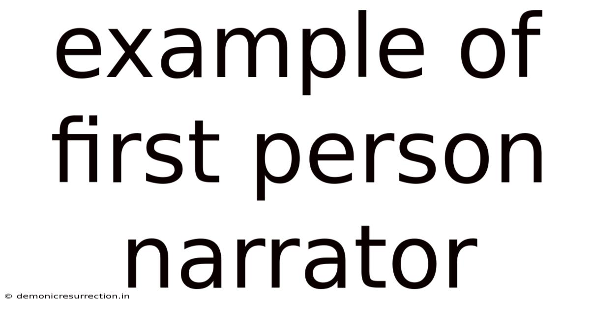 Example Of First Person Narrator