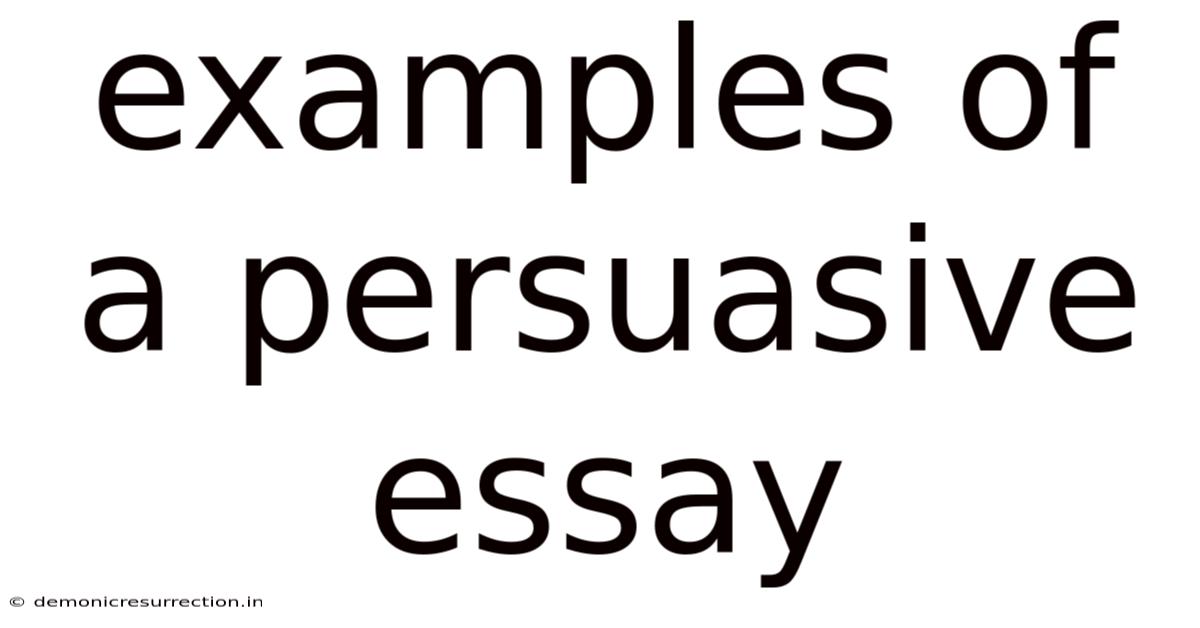 Examples Of A Persuasive Essay