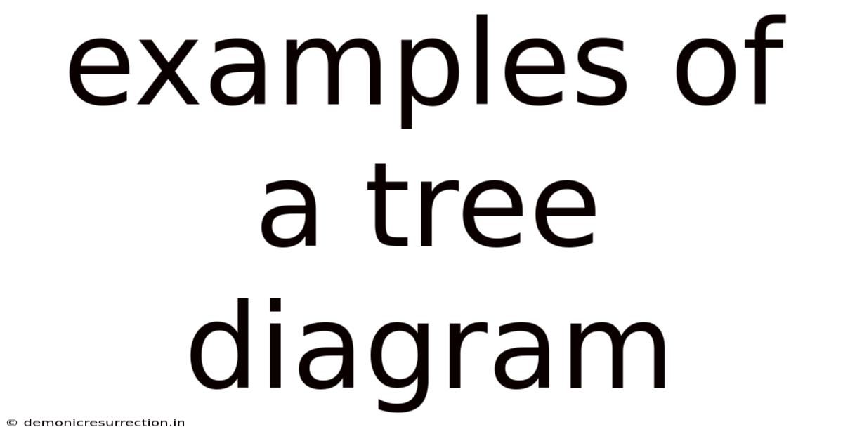 Examples Of A Tree Diagram