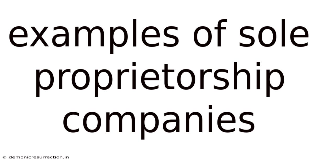 Examples Of Sole Proprietorship Companies