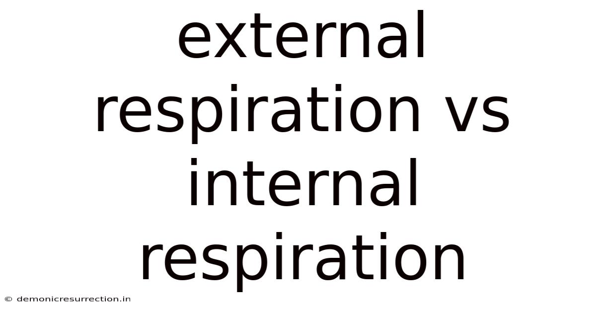 External Respiration Vs Internal Respiration