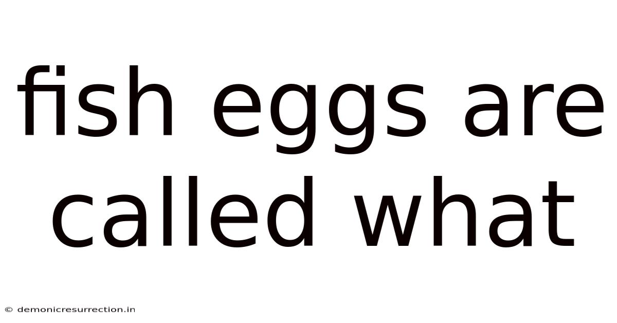Fish Eggs Are Called What
