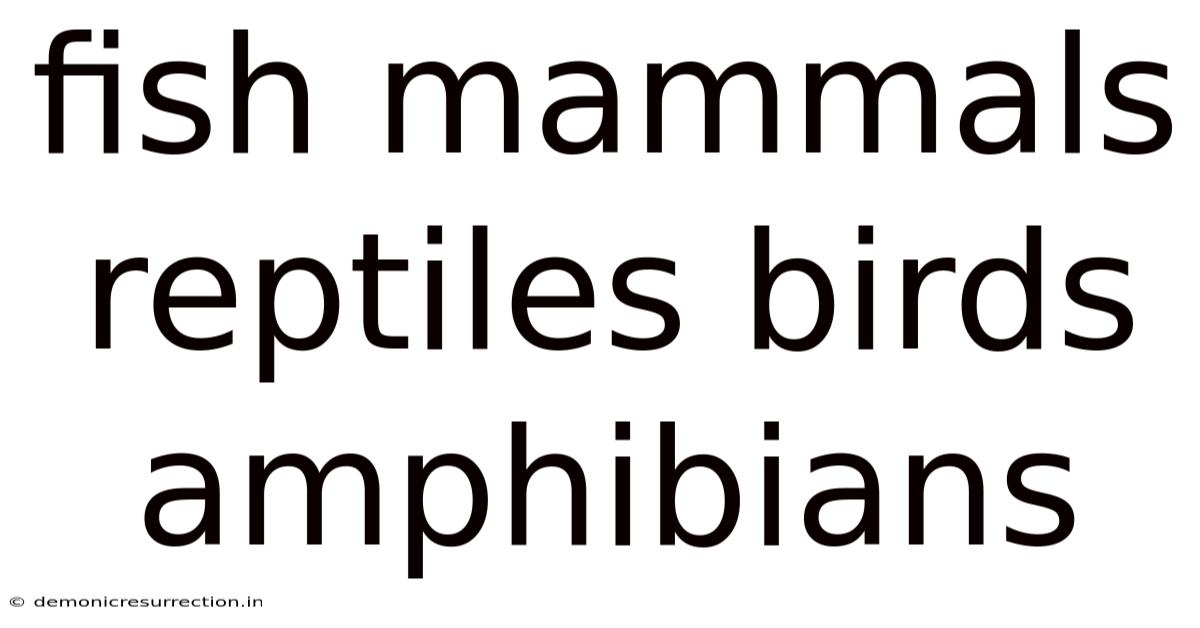 Fish Mammals Reptiles Birds Amphibians