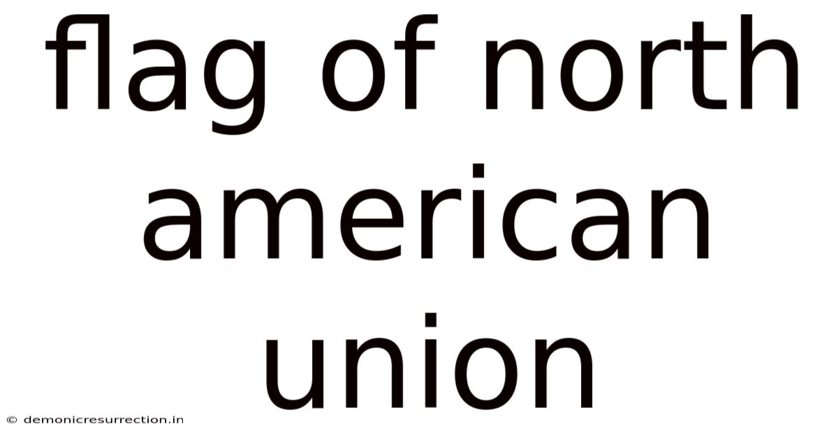 Flag Of North American Union
