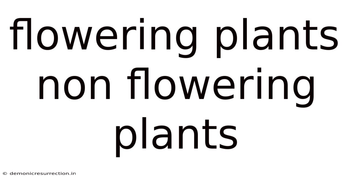 Flowering Plants Non Flowering Plants