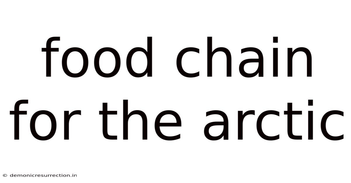 Food Chain For The Arctic