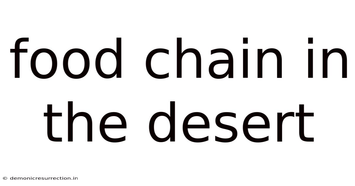 Food Chain In The Desert