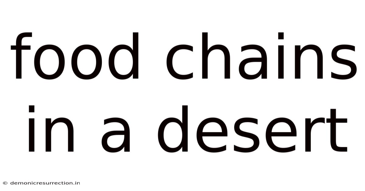 Food Chains In A Desert