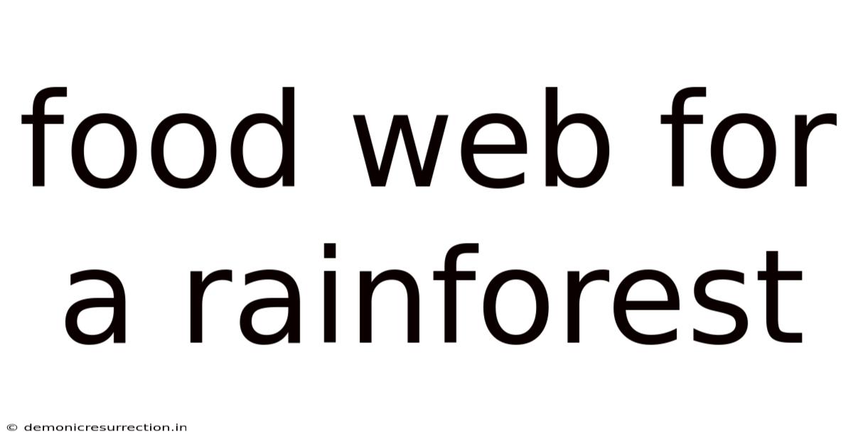 Food Web For A Rainforest