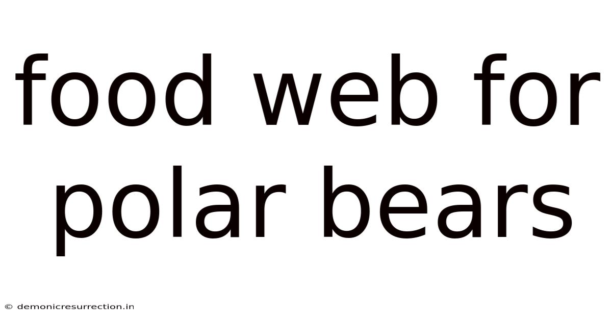 Food Web For Polar Bears