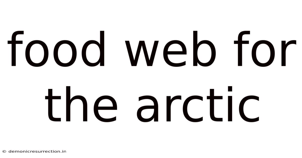 Food Web For The Arctic