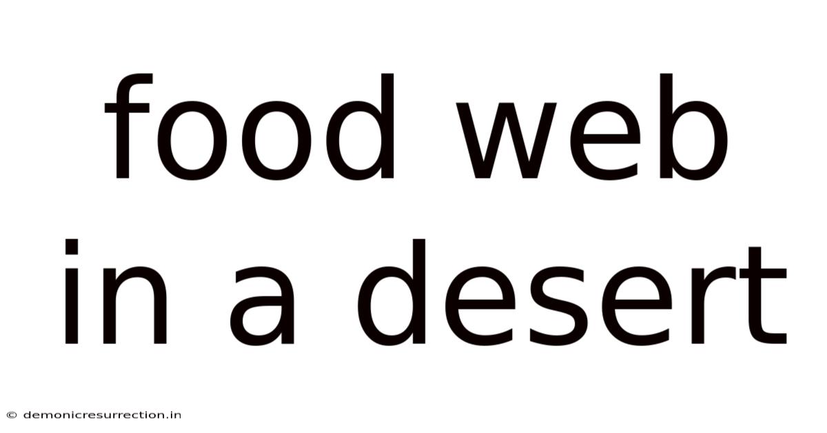Food Web In A Desert