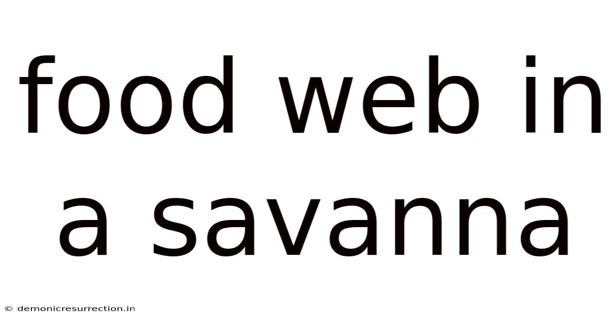 Food Web In A Savanna