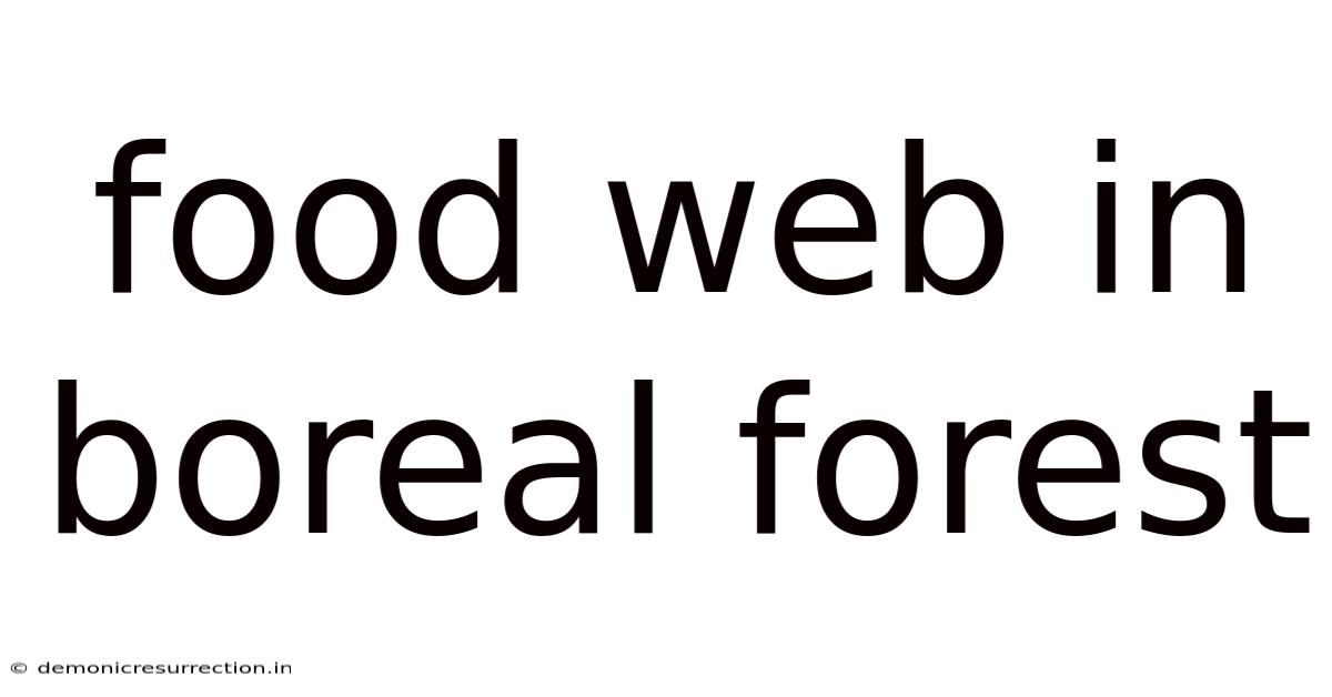 Food Web In Boreal Forest