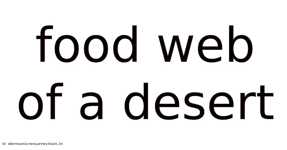 Food Web Of A Desert