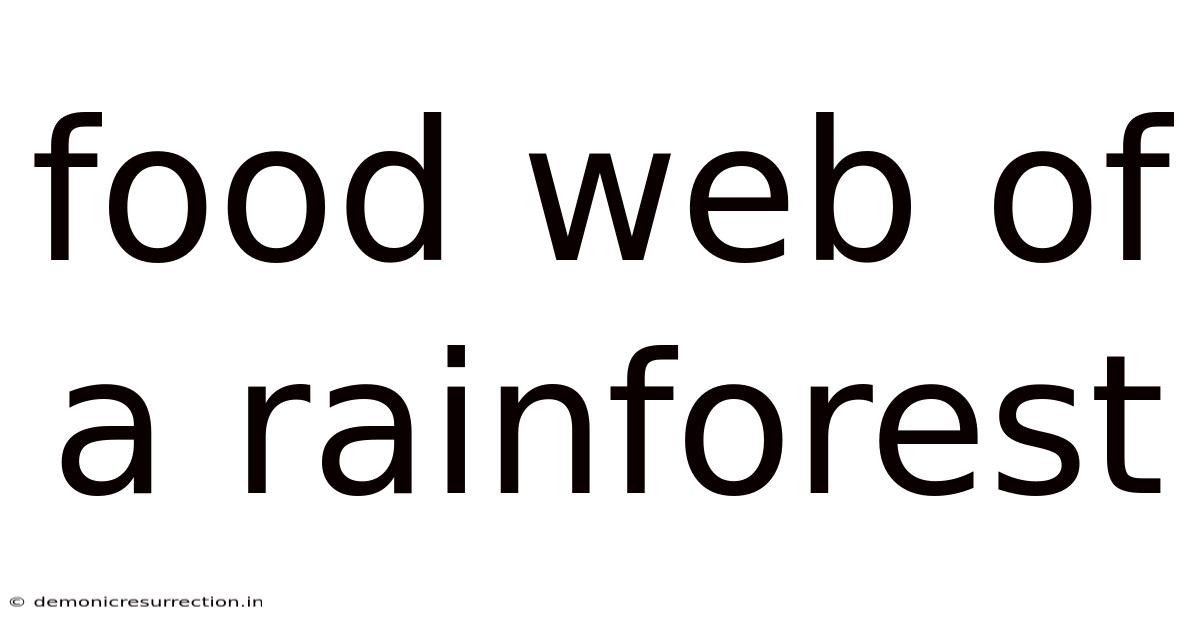 Food Web Of A Rainforest