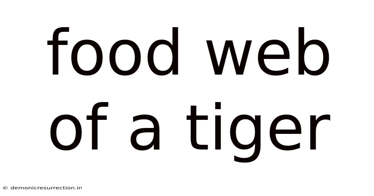 Food Web Of A Tiger